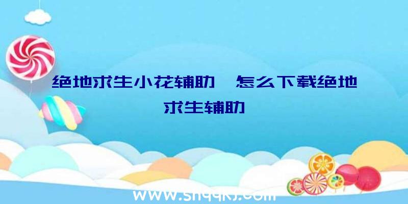 绝地求生小花辅助、怎么下载绝地求生辅助