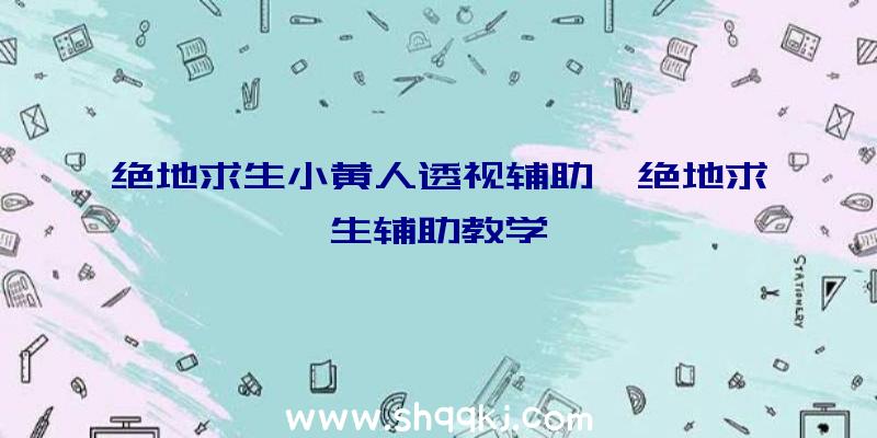 绝地求生小黄人透视辅助、绝地求生辅助教学