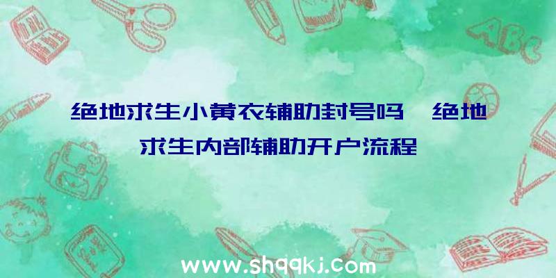 绝地求生小黄衣辅助封号吗、绝地求生内部辅助开户流程