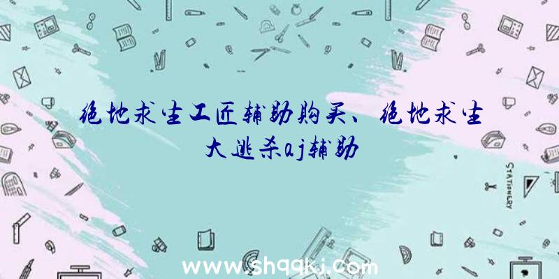 绝地求生工匠辅助购买、绝地求生大逃杀aj辅助