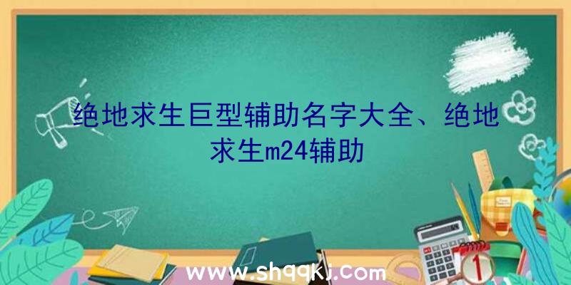 绝地求生巨型辅助名字大全、绝地求生m24辅助