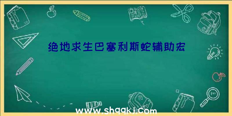 绝地求生巴塞利斯蛇辅助宏