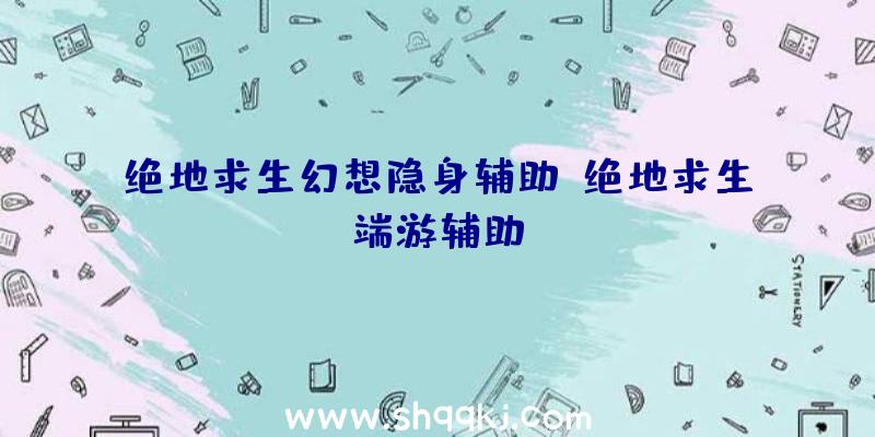 绝地求生幻想隐身辅助、绝地求生端游辅助q