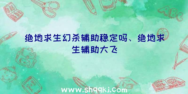 绝地求生幻杀辅助稳定吗、绝地求生辅助大飞