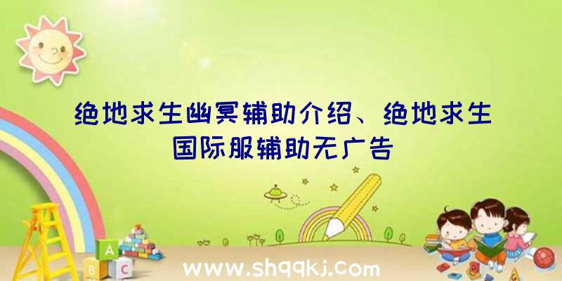 绝地求生幽冥辅助介绍、绝地求生国际服辅助无广告