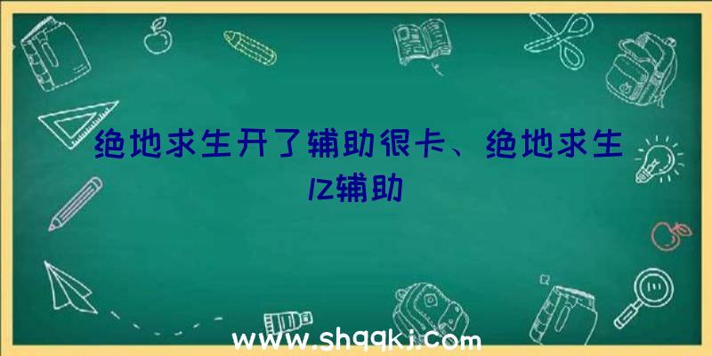 绝地求生开了辅助很卡、绝地求生lz辅助