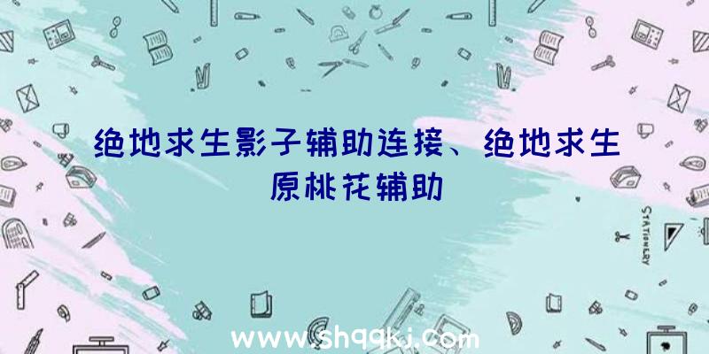 绝地求生影子辅助连接、绝地求生原桃花辅助