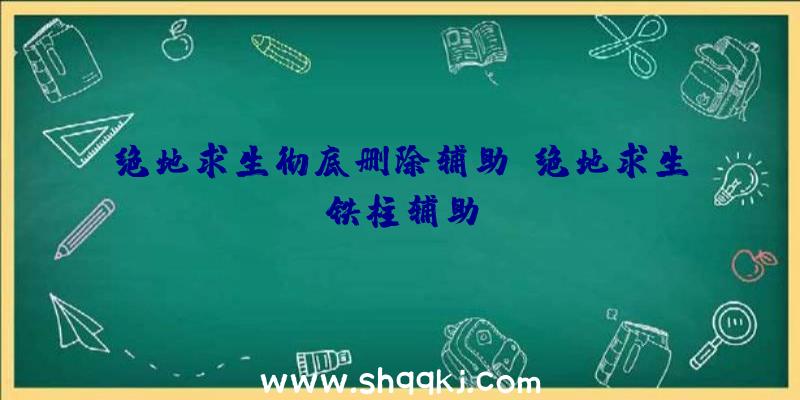 绝地求生彻底删除辅助、绝地求生铁柱辅助