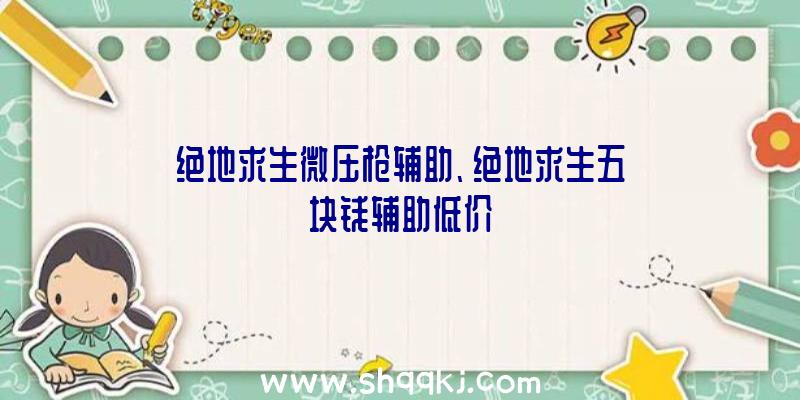 绝地求生微压枪辅助、绝地求生五块钱辅助低价