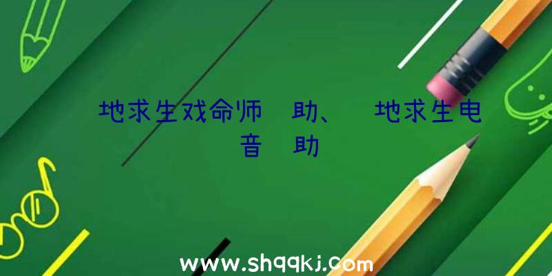 绝地求生戏命师辅助、绝地求生电音辅助