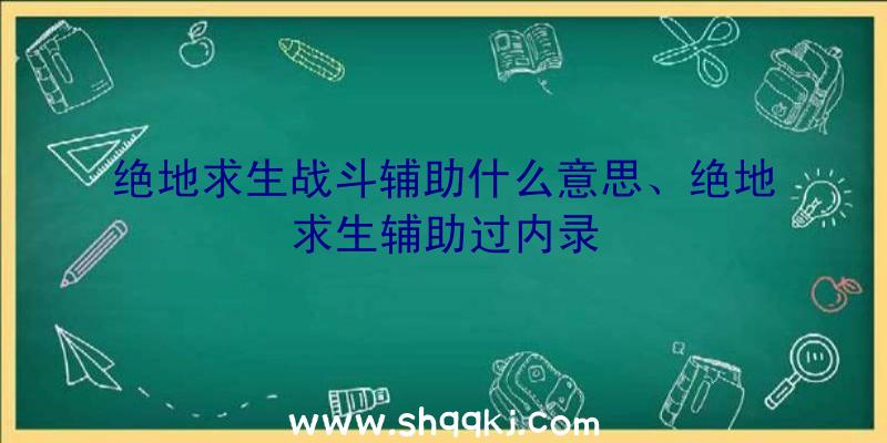 绝地求生战斗辅助什么意思、绝地求生辅助过内录