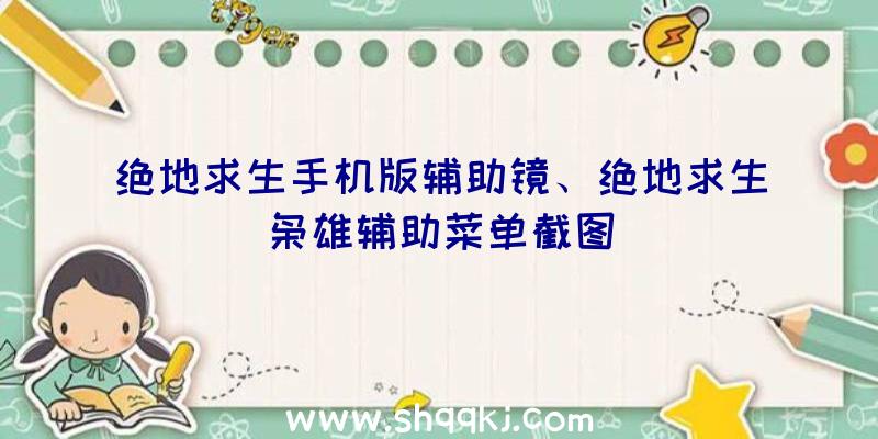 绝地求生手机版辅助镜、绝地求生枭雄辅助菜单截图