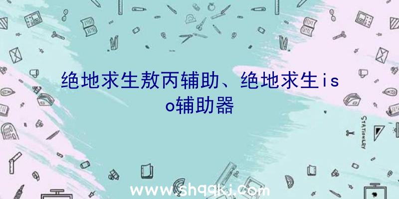 绝地求生敖丙辅助、绝地求生iso辅助器