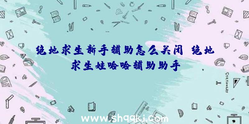 绝地求生新手辅助怎么关闭、绝地求生娃哈哈辅助助手