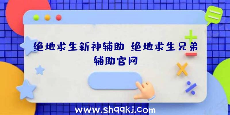 绝地求生新神辅助、绝地求生兄弟辅助官网