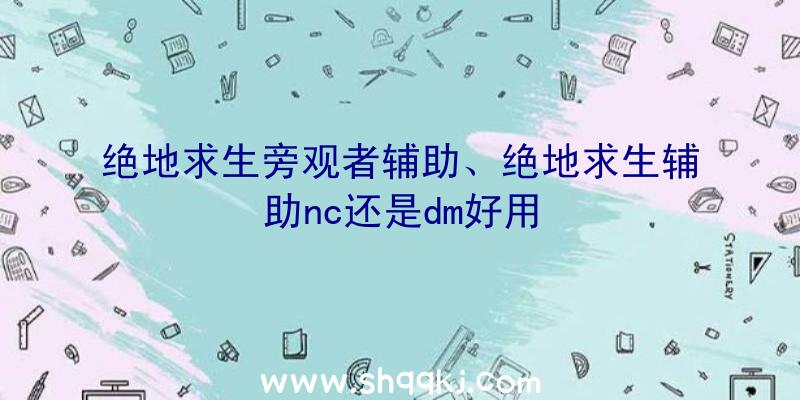 绝地求生旁观者辅助、绝地求生辅助nc还是dm好用