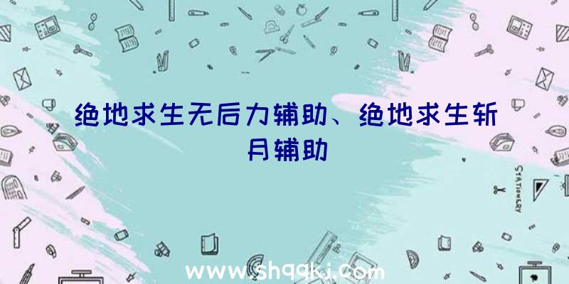 绝地求生无后力辅助、绝地求生斩月辅助