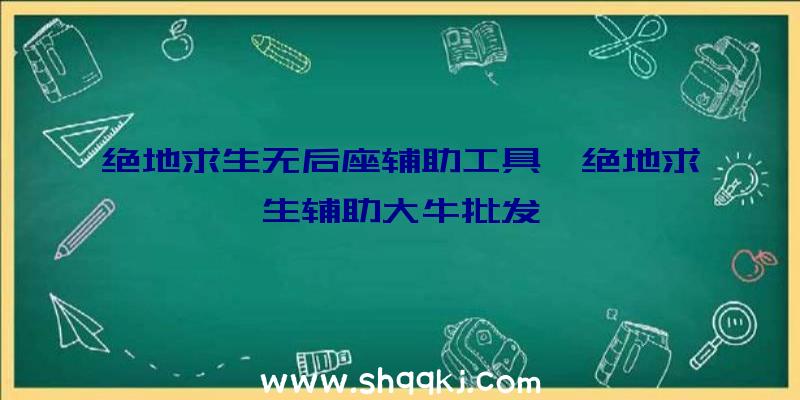 绝地求生无后座辅助工具、绝地求生辅助大牛批发