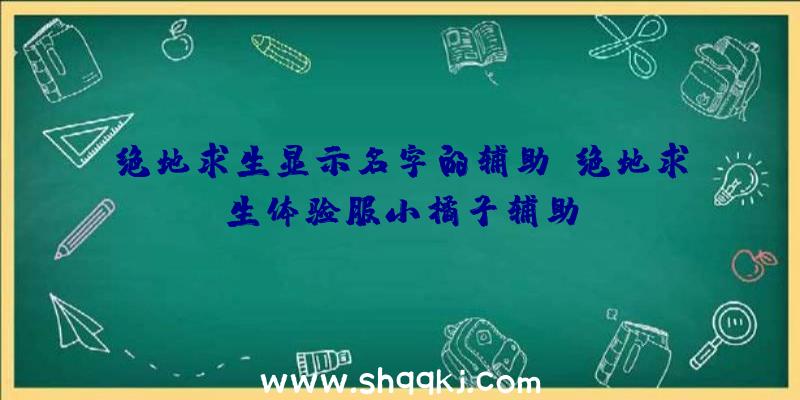 绝地求生显示名字的辅助、绝地求生体验服小橘子辅助