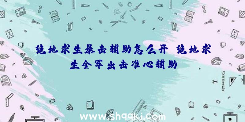 绝地求生暴击辅助怎么开、绝地求生全军出击准心辅助