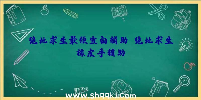 绝地求生最便宜的辅助、绝地求生橡皮手辅助