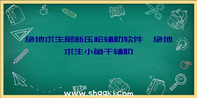 绝地求生最新压枪辅助软件、绝地求生小鱼干辅助