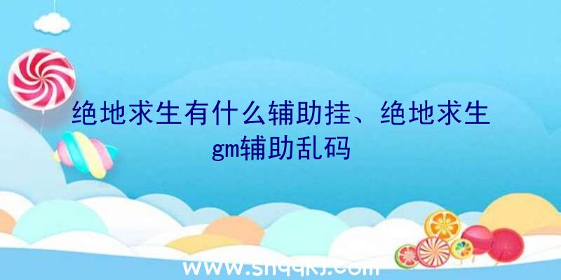 绝地求生有什么辅助挂、绝地求生gm辅助乱码