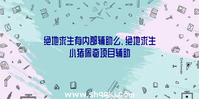 绝地求生有内部辅助么、绝地求生小猪佩奇项目辅助