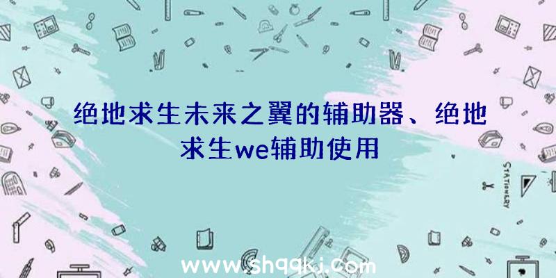 绝地求生未来之翼的辅助器、绝地求生we辅助使用