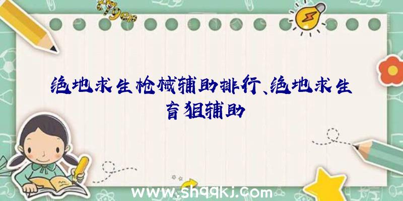 绝地求生枪械辅助排行、绝地求生盲狙辅助