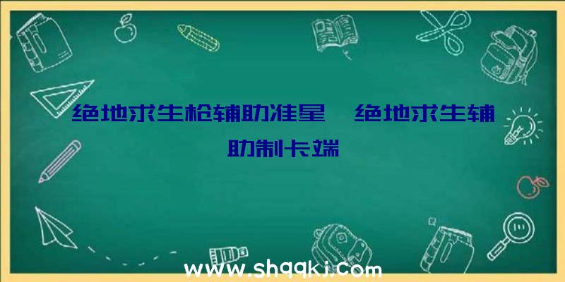 绝地求生枪辅助准星、绝地求生辅助制卡端