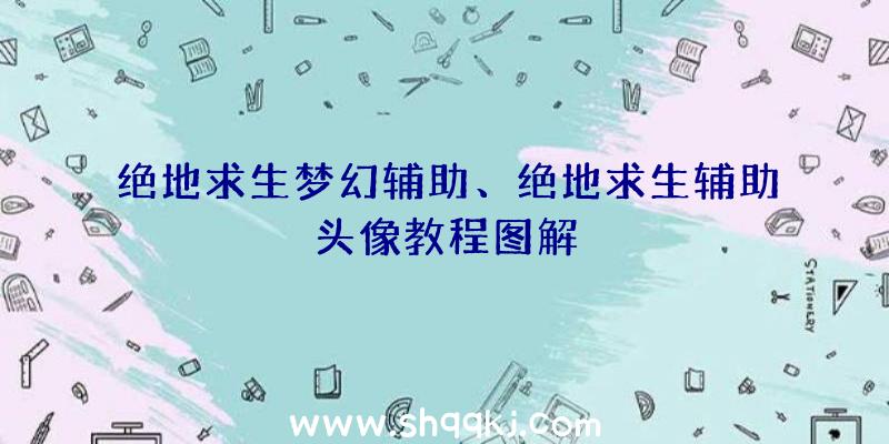 绝地求生梦幻辅助、绝地求生辅助头像教程图解