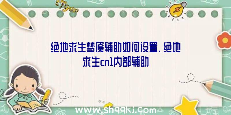 绝地求生梦魇辅助如何设置、绝地求生cn1内部辅助