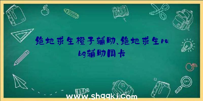 绝地求生橙子辅助、绝地求生pubg辅助周卡