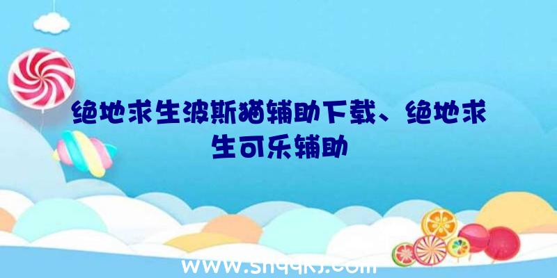 绝地求生波斯猫辅助下载、绝地求生可乐辅助