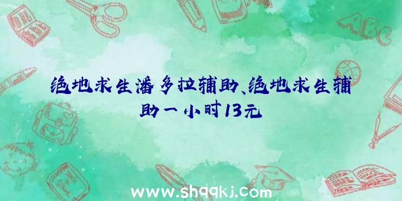 绝地求生潘多拉辅助、绝地求生辅助一小时13元