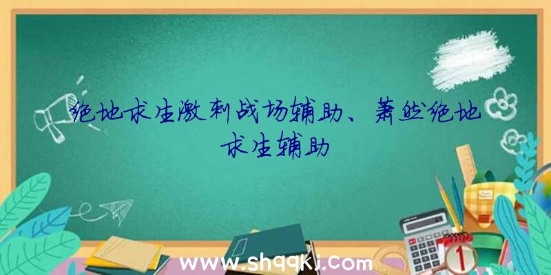 绝地求生激刺战场辅助、萧然绝地求生辅助