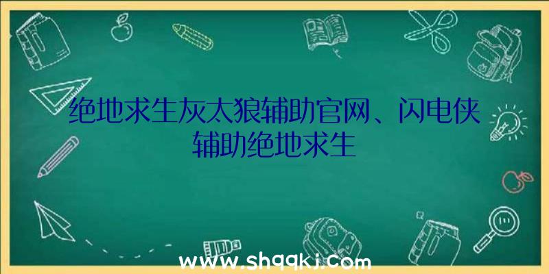 绝地求生灰太狼辅助官网、闪电侠辅助绝地求生