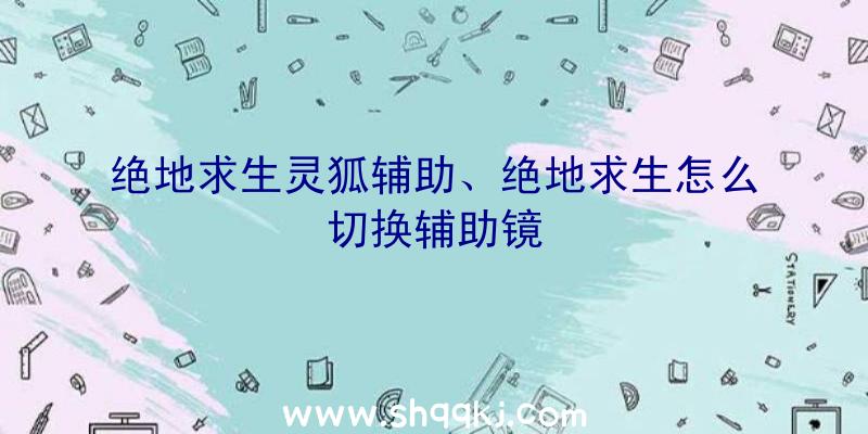 绝地求生灵狐辅助、绝地求生怎么切换辅助镜