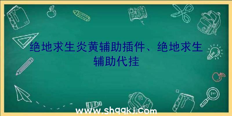 绝地求生炎黄辅助插件、绝地求生辅助代挂