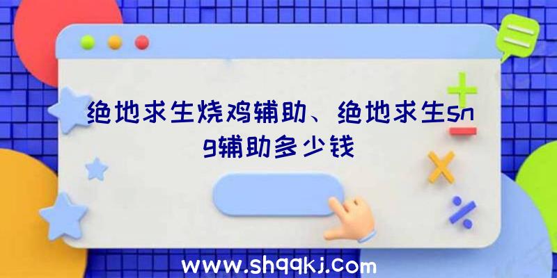 绝地求生烧鸡辅助、绝地求生sng辅助多少钱