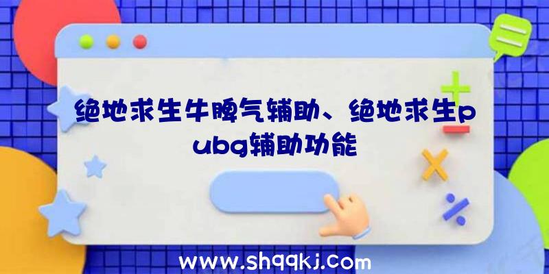 绝地求生牛脾气辅助、绝地求生pubg辅助功能