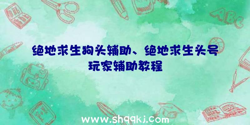 绝地求生狗头辅助、绝地求生头号玩家辅助教程