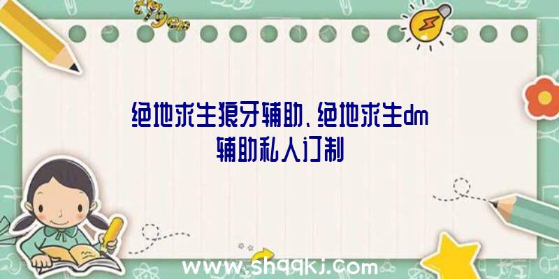 绝地求生狼牙辅助、绝地求生dm辅助私人订制