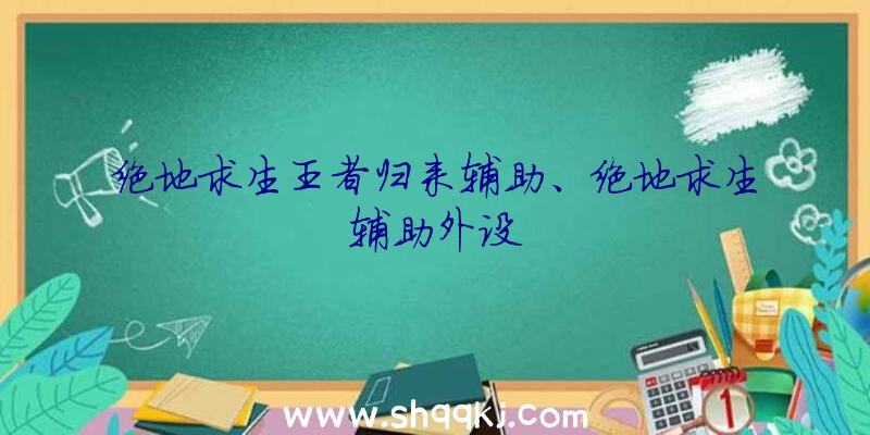 绝地求生王者归来辅助、绝地求生辅助外设