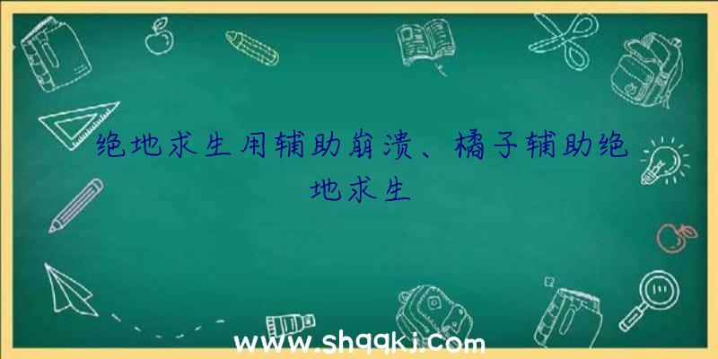 绝地求生用辅助崩溃、橘子辅助绝地求生