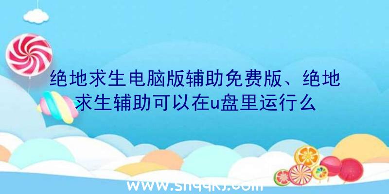 绝地求生电脑版辅助免费版、绝地求生辅助可以在u盘里运行么