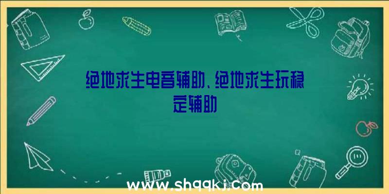 绝地求生电音辅助、绝地求生玩稳定辅助