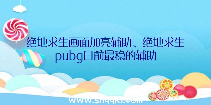 绝地求生画面加亮辅助、绝地求生pubg目前最稳的辅助