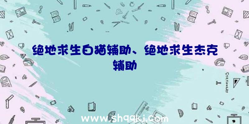 绝地求生白猫辅助、绝地求生杰克辅助